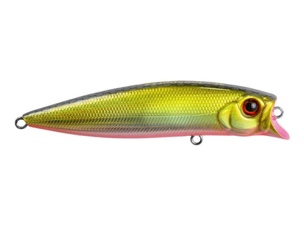 Brava 77 Floating Marine