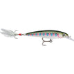 Rainbow Trout (RT)