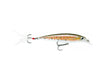 Brown Trout (TR)