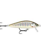 Gilded Brown Trout (GDBT)