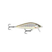 Gilded Brown Trout (GDBT)