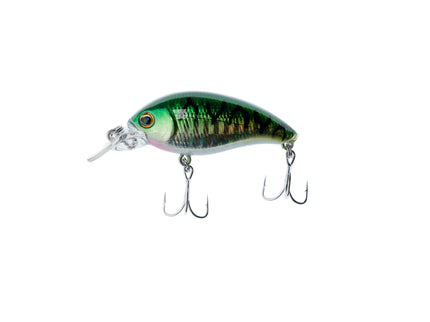 Señuelo Bigo Sunshine