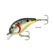 BDT143 PRL SPLATTER BACK