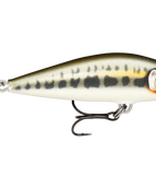 Gilded Minnow (GDMN)