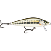 Gilded Minnow (GDMN)