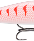 Gilded Pearl Orange (GDCG)