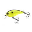 BLACK BACK CHARTREUSE
