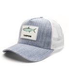 Tarpon