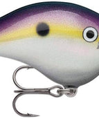 Big Shad (BGSD)