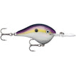 Big Shad (BGSD)