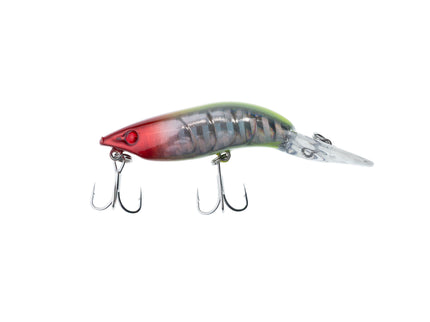 Camaron Doido Sunshine