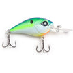 Citrus Shad