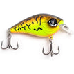 CornpopCraw