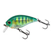 REAL PERCH