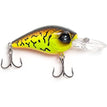 Cornpop Craw