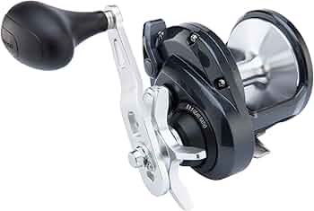 Shimano Torium HG