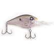 Native Shad