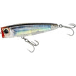 SARDINE BLACK