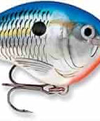 Blue Shad (BSD)