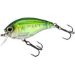 BABY BASS