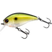 GREEN SHAD