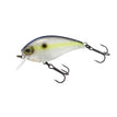 SEXY SHAD