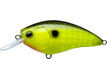 Black Back Chartreuse (BLCL)