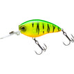 FT