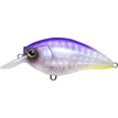 Sunset Shad (SSSH)
