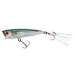 REAL GIZZARD SHAD