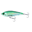 GREEN MACKEREL HGM