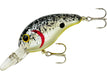 BDT243 SPLATTER BACK