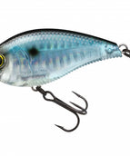 PRISM SHAD