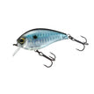 PRISM SHAD