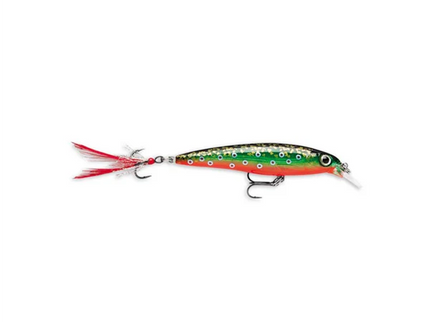 Rapala XR6