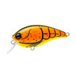 BURNT ORANGE CRAWFISH