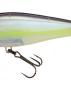 GHOST SEXY SHAD