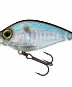 PRISM SHAD