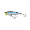 SARDINE