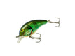 BDT1B38 BLUEGILL