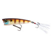 BLUEGILL (BG)