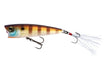 BLUEGILL (BG)