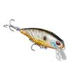 BOT61