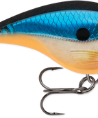 Blue Ghost (BGH)