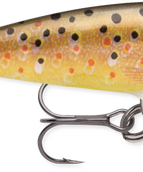 Brown Trout (TR)