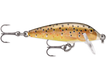 Brown Trout (TR)