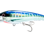 SM - SPANISH MACKEREL