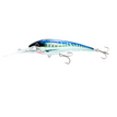 SM - SPANISH MACKEREL