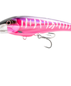 HPM - HOT PINK MACKEREL
