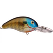 BDT2D37 RIVER BREAM